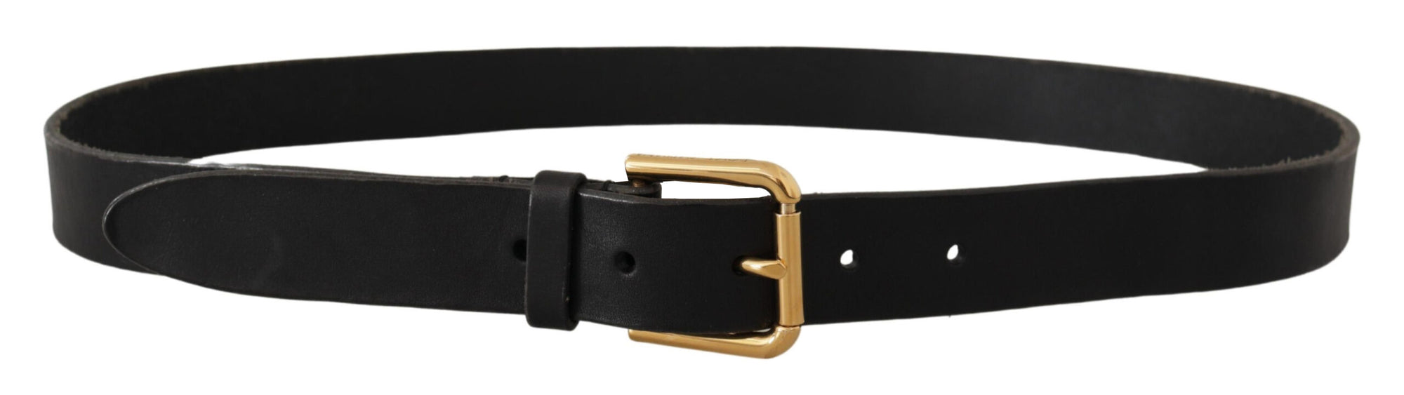 Dolce & Gabbana Brown Classic Leather Gold Metal Buckle Belt - Maison Luxe