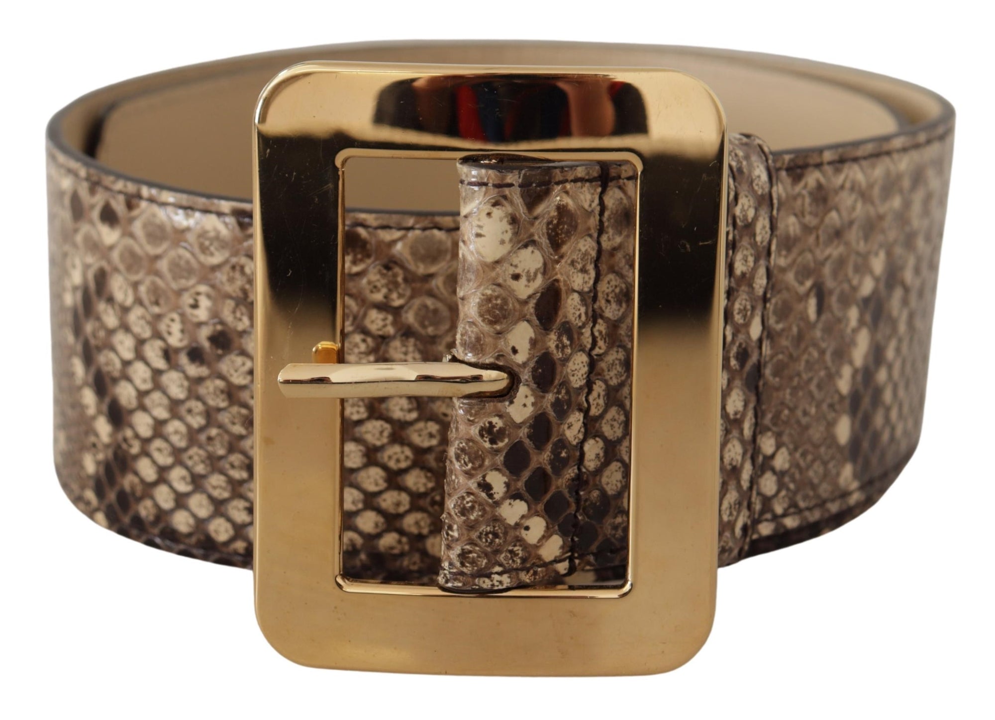 Dolce & Gabbana Brown Exotic Wide Waist Leather Gold Metal Buckle Belt - Maison Luxe