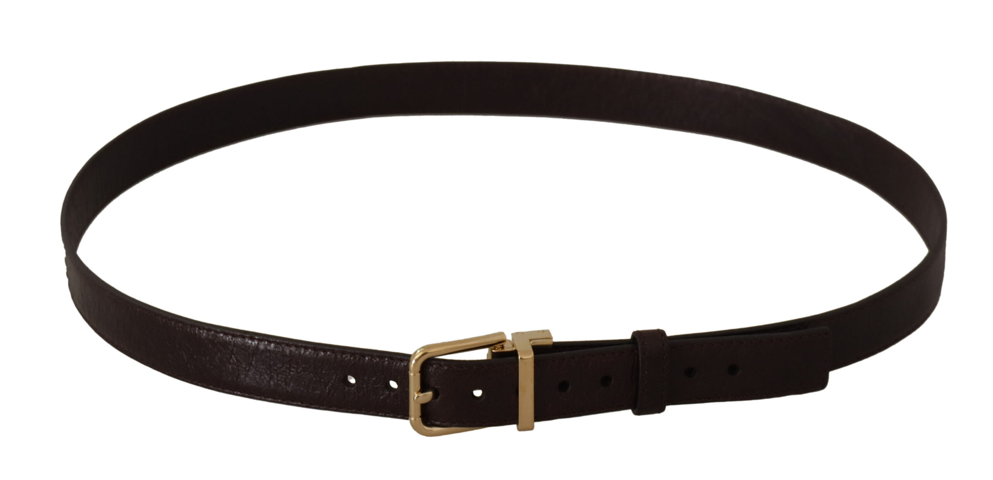 Dolce & Gabbana Brown Leather Gold Metal Buckle Belt - Maison Luxe