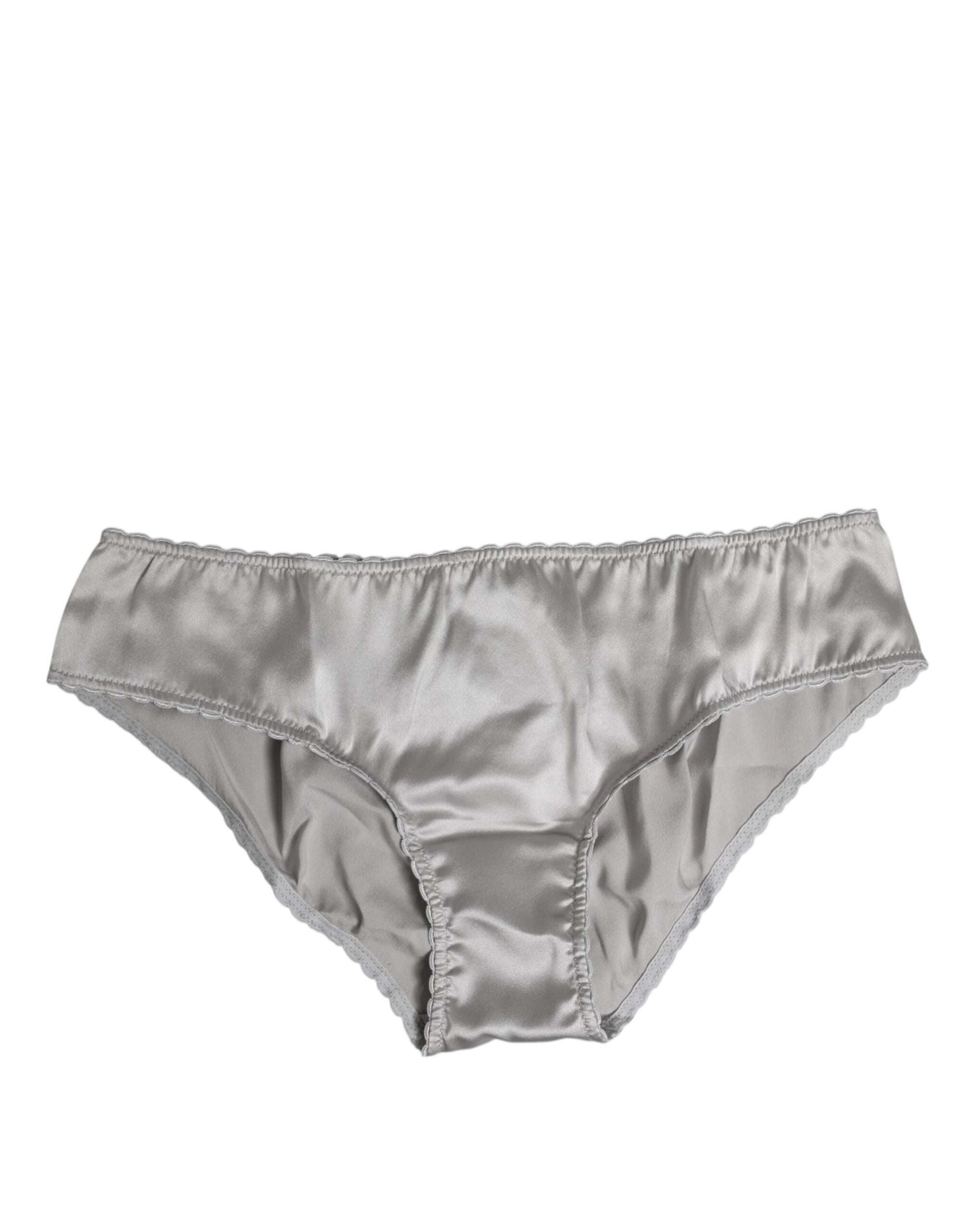 Dolce & Gabbana Gray Silk Stretch Bottom Low Waist Panty Underwear