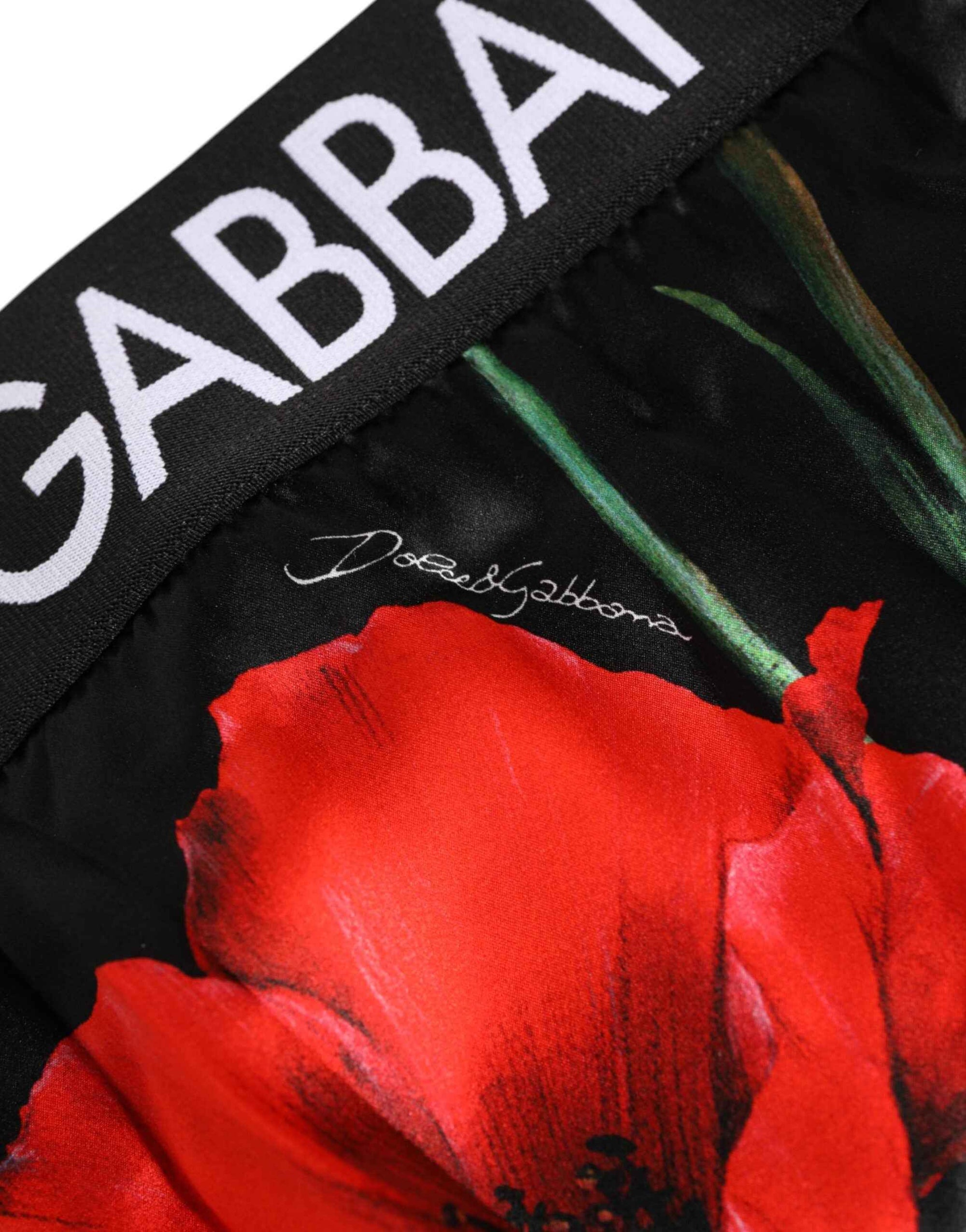 Dolce & Gabbana Black Floral Print High Waist Sheer Mesh Underwear