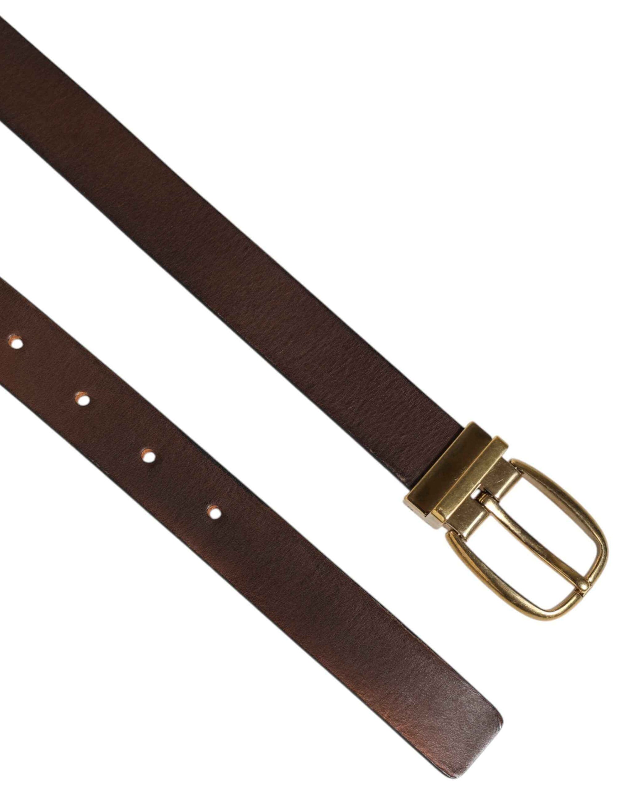Dolce & Gabbana Brown Classic Gold Metal Logo Buckle Men Belt