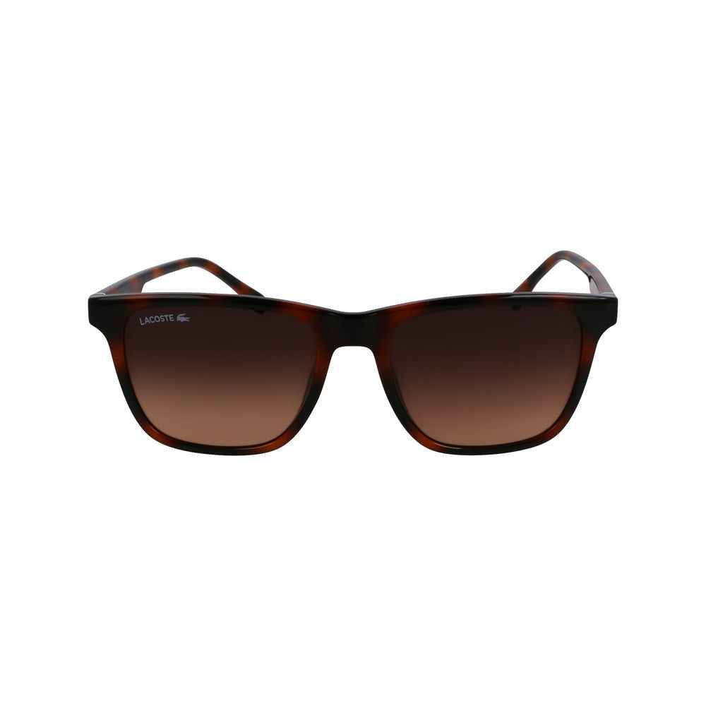 Lacoste Brown Injected Sunglasses