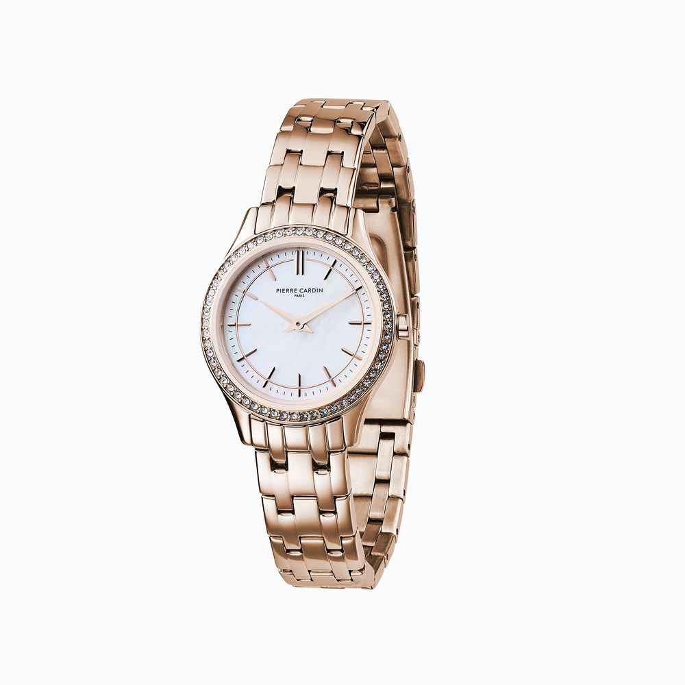 Pierre Cardin Multicolor Stainless Steel Dress Watch
