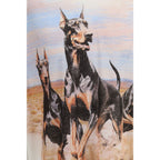 Represent White Cotton T-Shirt