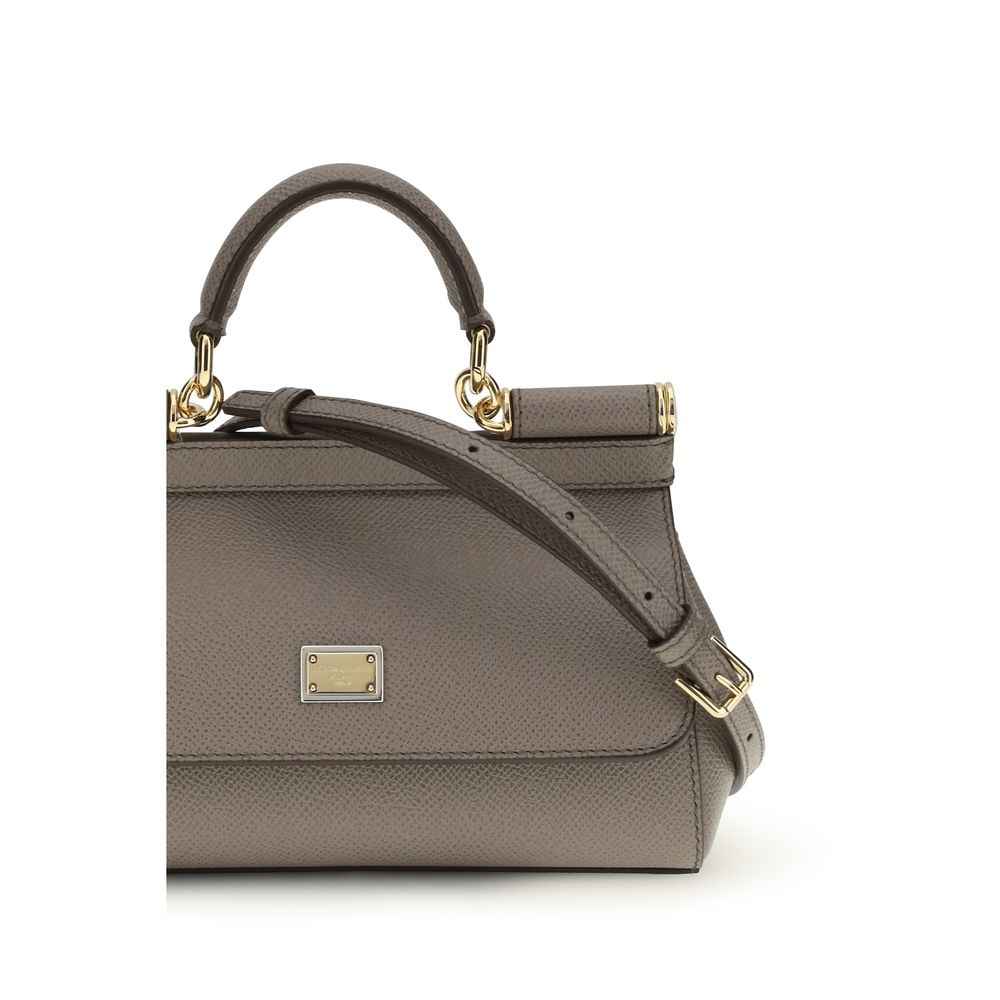 Dolce & Gabbana Gray Calf Leather Bos Taurus Handbag