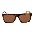 Web Brown Acetate Sunglasses