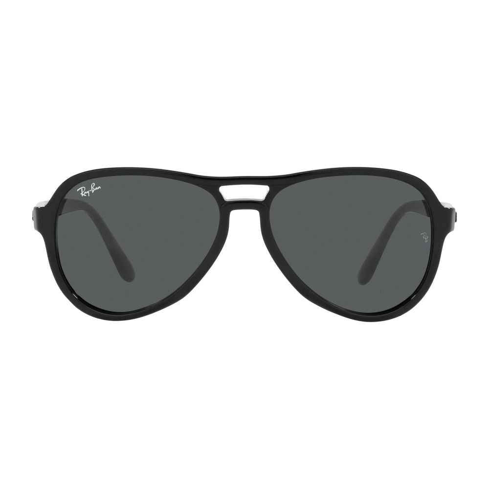 Ray-Ban Black Injected Sunglasses