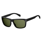 Polaroid Black Acetate Sunglasses