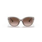 Armani Exchange Brown Injected Sunglasses