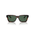 Arnette Brown Injected Sunglasses