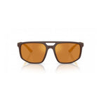 Emporio Armani Brown Injected Sunglasses