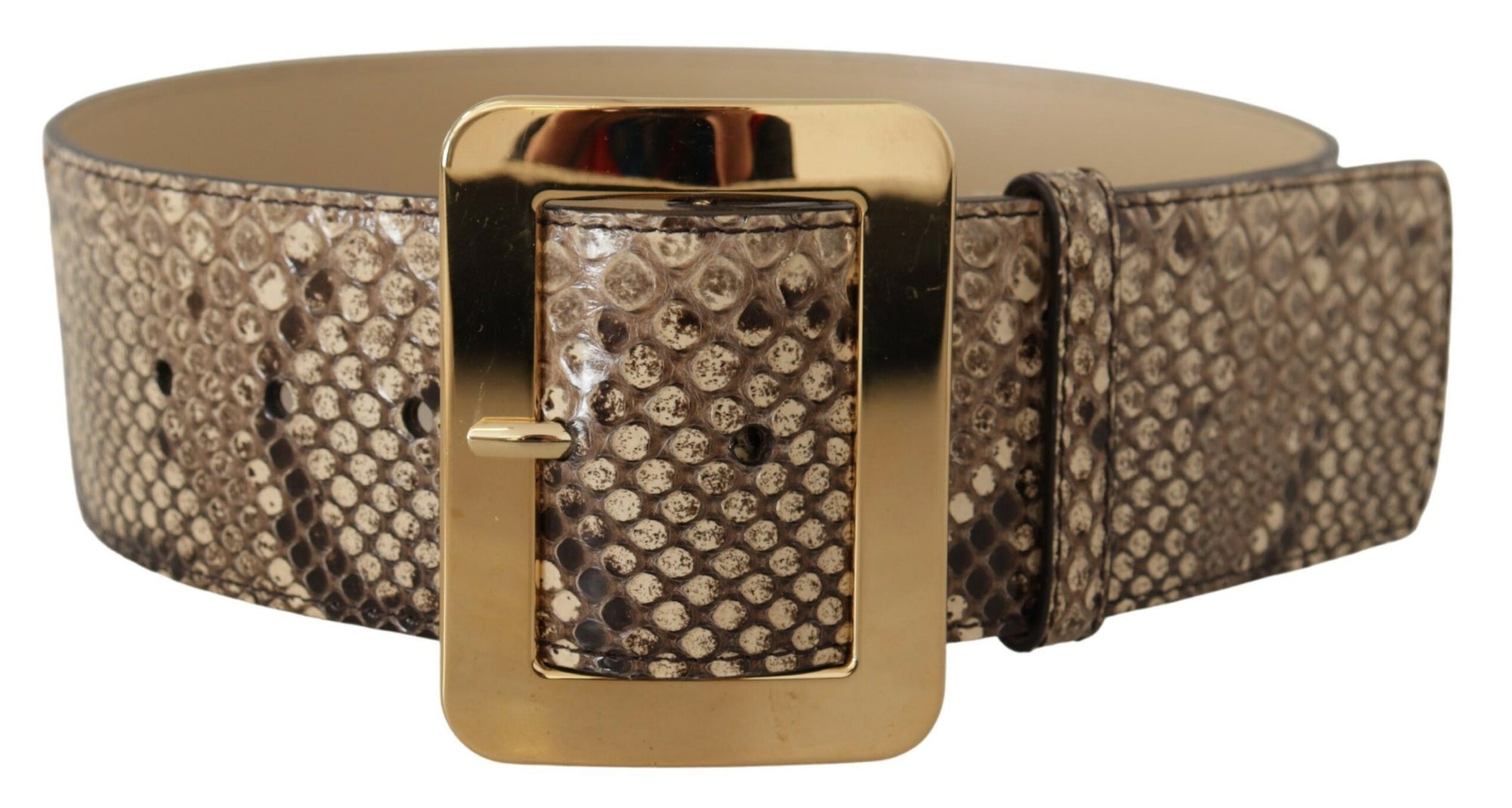 Dolce & Gabbana Brown Exotic Wide Waist Leather Gold Metal Buckle Belt - Maison Luxe