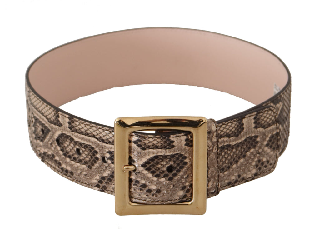 Dolce & Gabbana Beige Exotic Leather Wide Gold Metal Buckle Belt - Maison Luxe