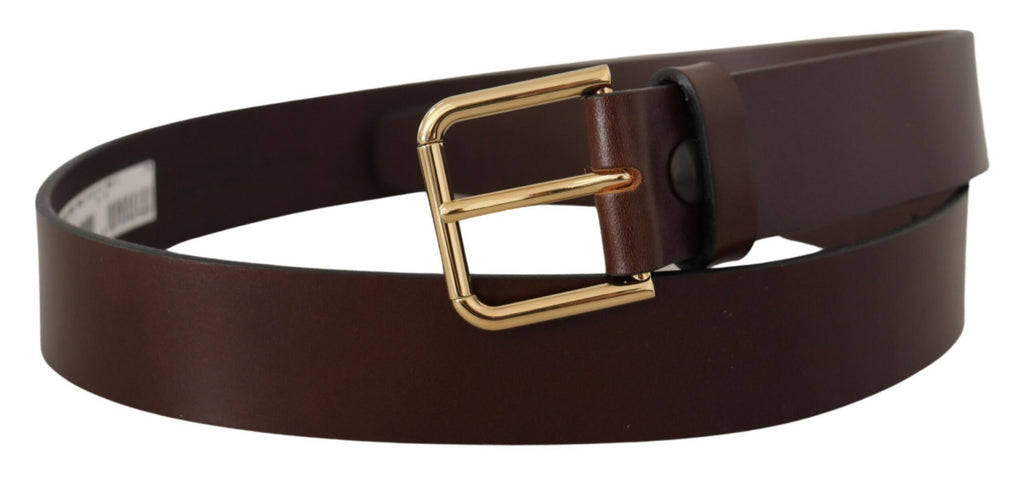 Dolce & Gabbana Brown Plain Calf Leather Gold Tone Buckle Belt - Maison Luxe