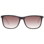 Police Brown Acetate & Plastic Sunglasses