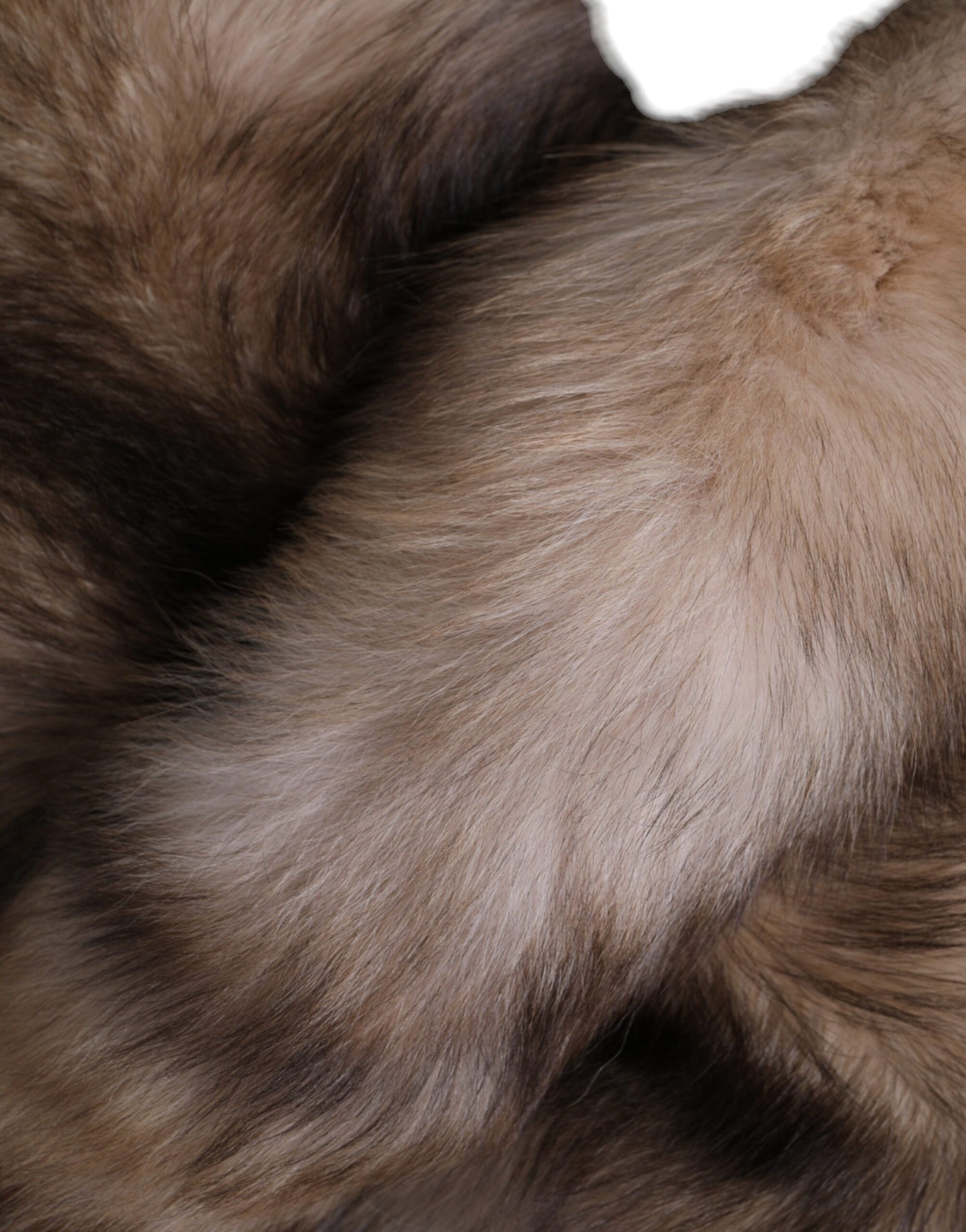 Dolce & Gabbana Brown Frost Fox Fur Neck Warmer Winter Scarf - Maison Luxe