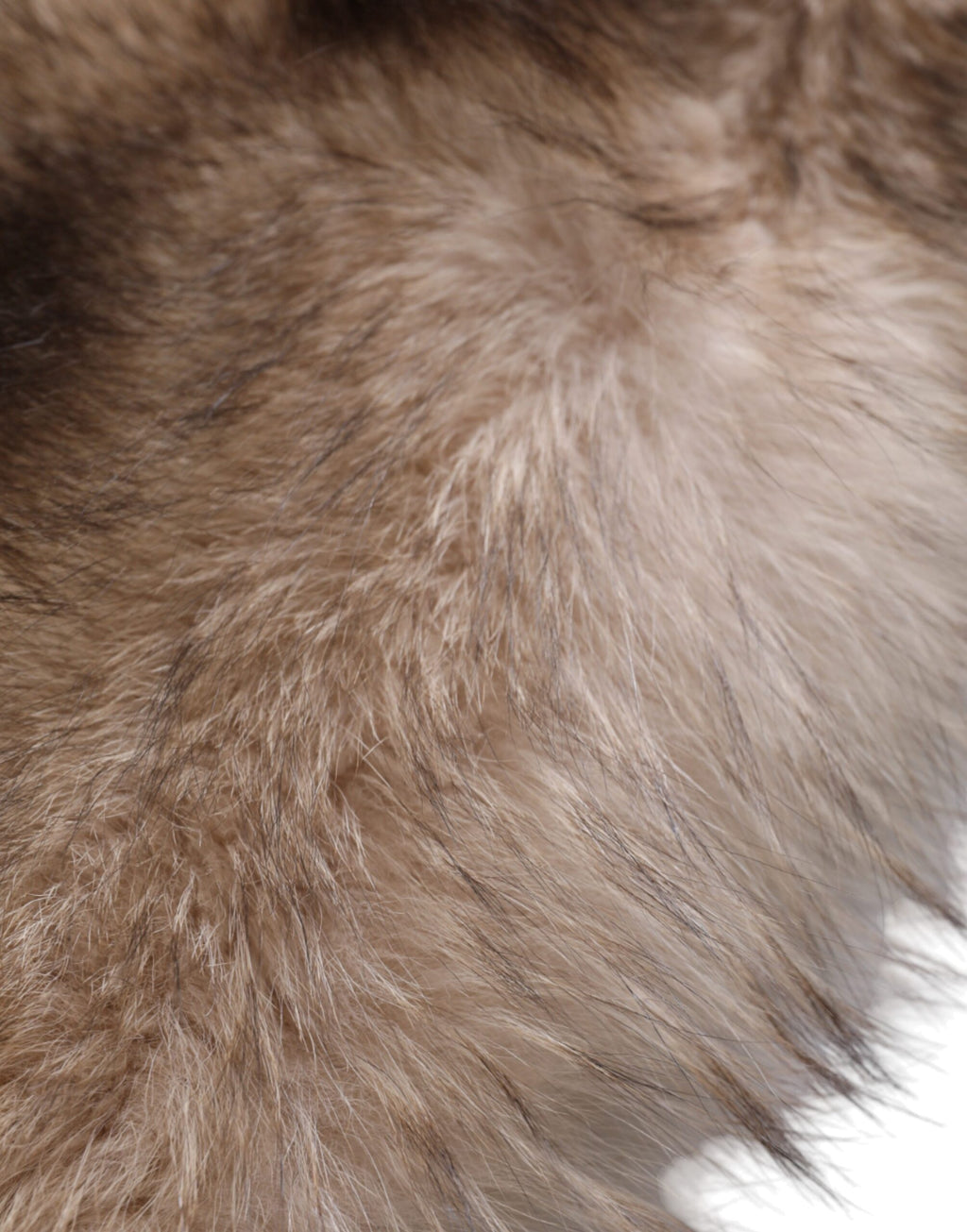 Dolce & Gabbana Brown Frost Fox Fur Neck Warmer Winter Scarf - Maison Luxe