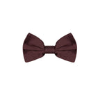 Dolce & Gabbana Burgundy Silk Bowtie