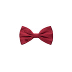 Dolce & Gabbana Red Silk Bowtie