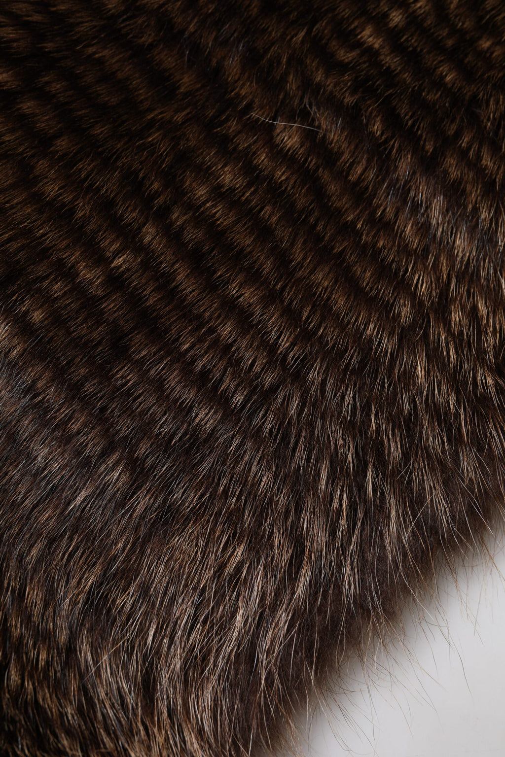 Dolce & Gabbana Brown Raccoon Fur Neck Warmer Winter Scarf