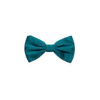 Dolce & Gabbana Green Silk Bowtie