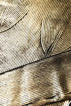 Dolce & Gabbana Gold Round Neck Long Sleeve Pullover Top