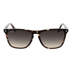 Web Brown Acetate Sunglasses