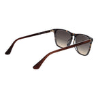 Web Brown Acetate Sunglasses