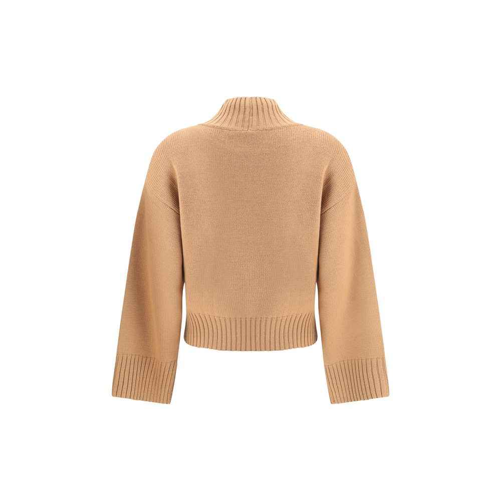Fabiana Filippi Wool Turtleneck Sweater