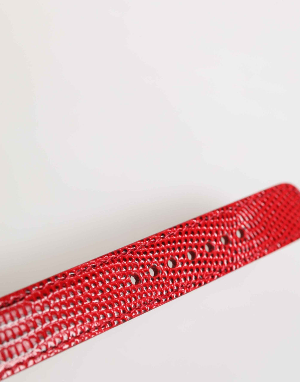 Dolce & Gabbana Red Exotic Leather Gold Tone Metal Buckle Women Armband