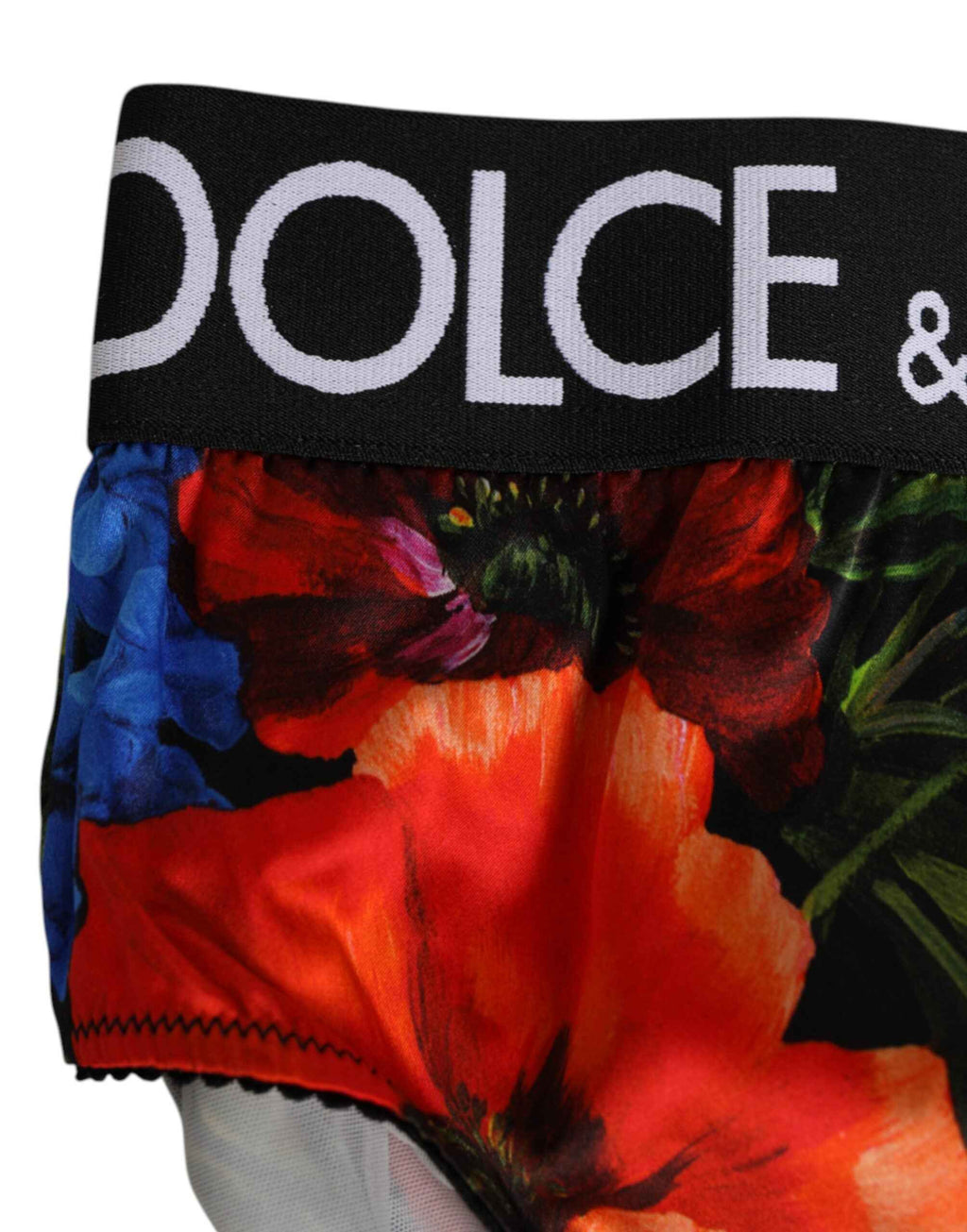 Dolce & Gabbana Multicolor Floral Print High Waist Panty Underwear