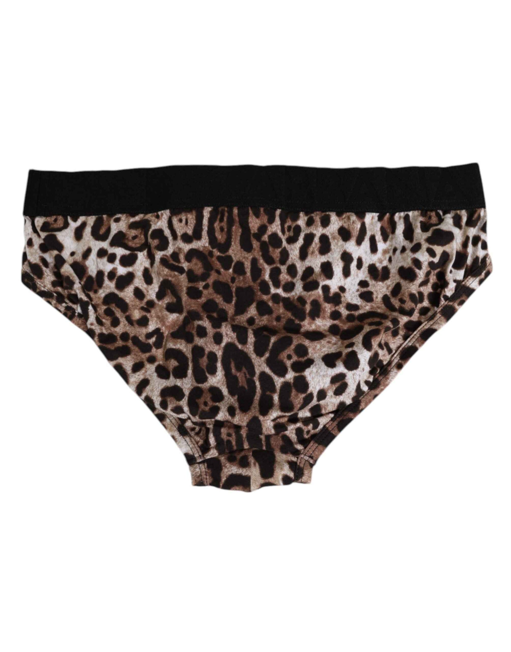Dolce & Gabbana Brown Cotton Leopard Logo Midi Brief Underwear
