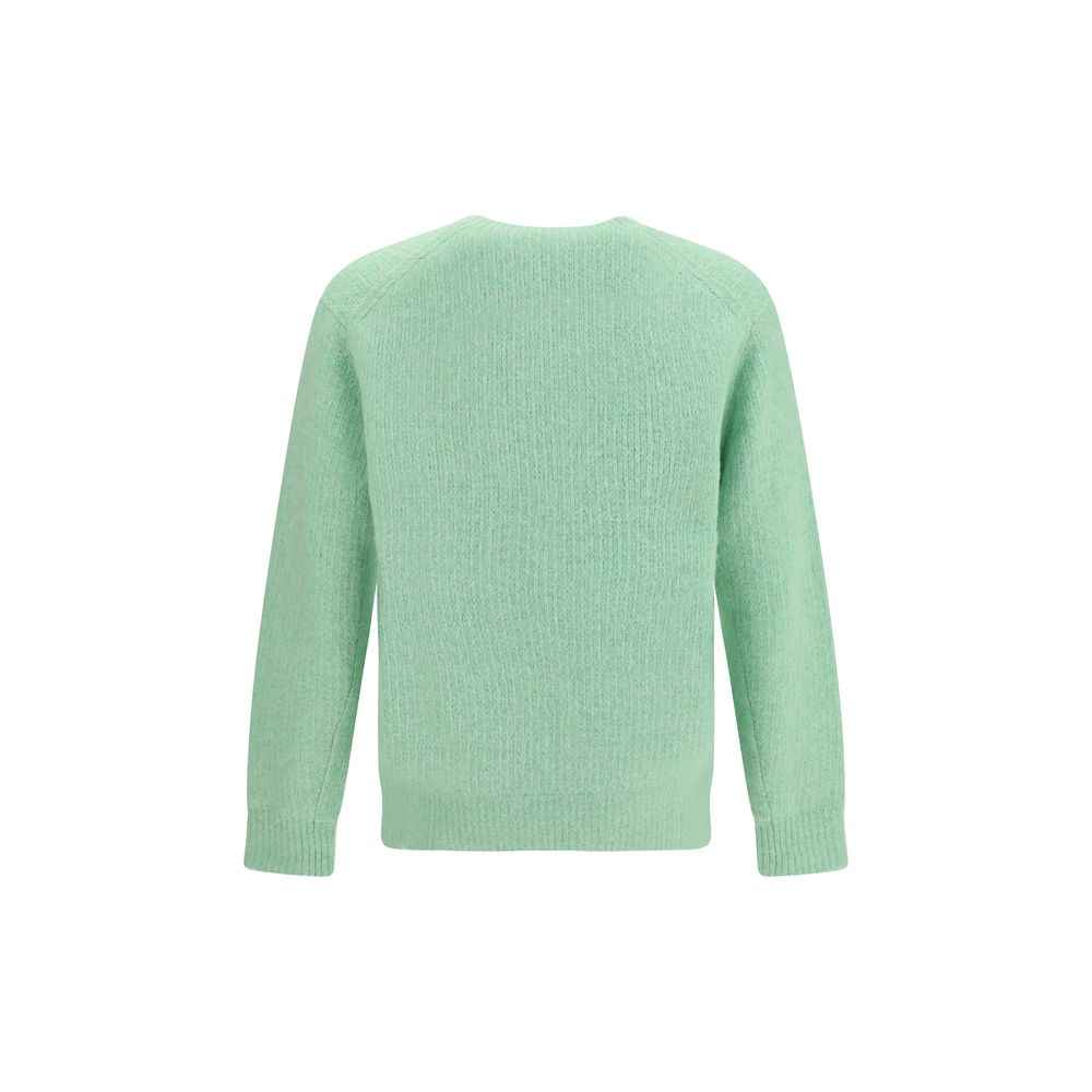 Sunflower Green Alpaca Vicugna Pacos Sweatshirt