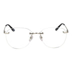 BMW Silver Titanium Glasses (Frames)