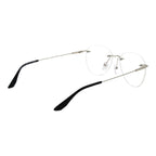 BMW Silver Titanium Glasses (Frames)