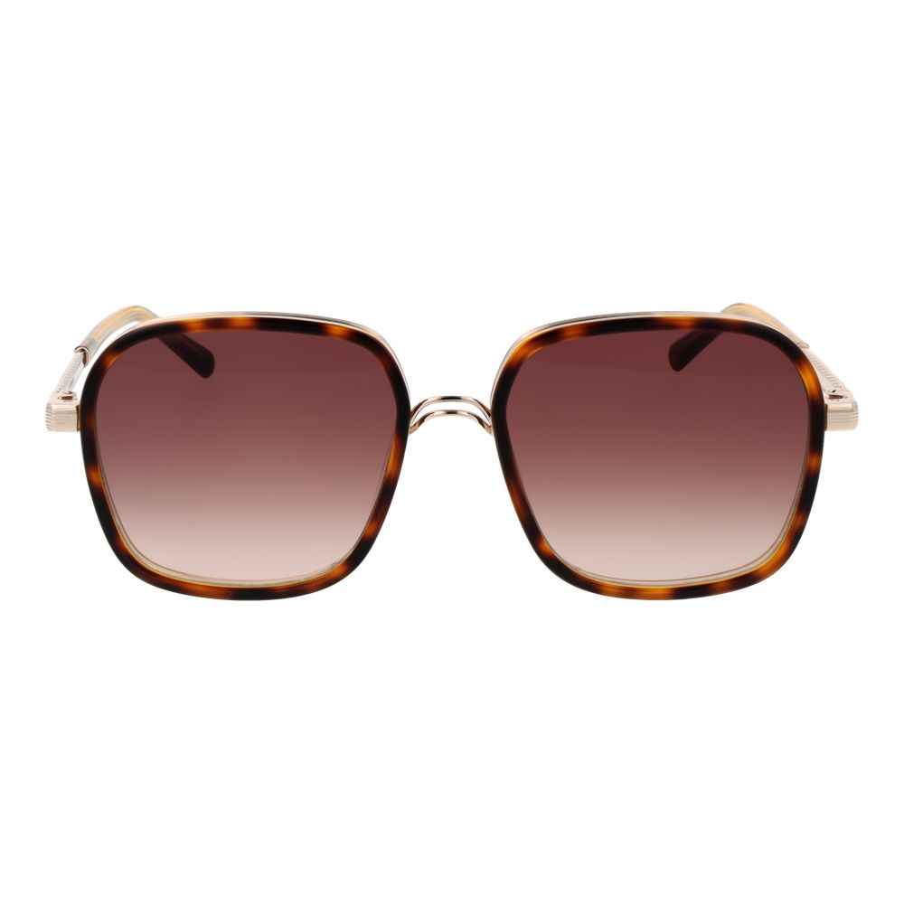Sandro Brown Acetate Sunglasses