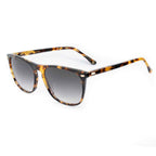 Belstaff Brown Acetate Sunglasses