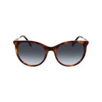 Lacoste Brown Acetate Sunglasses