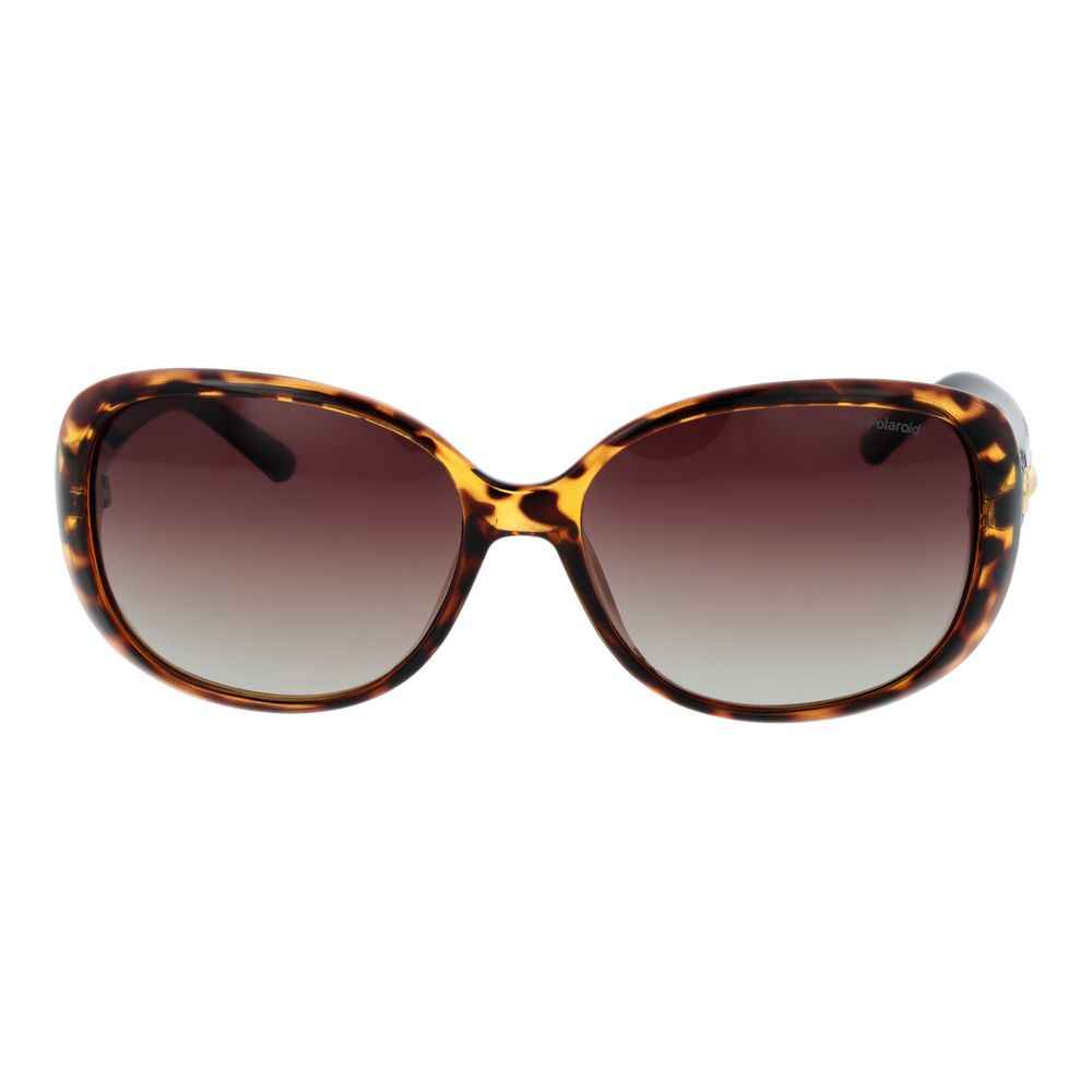 Polaroid Brown Plastic Sunglasses
